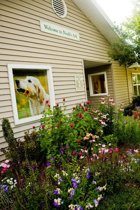 Noah's Ark Companion Animal Hospital 9
