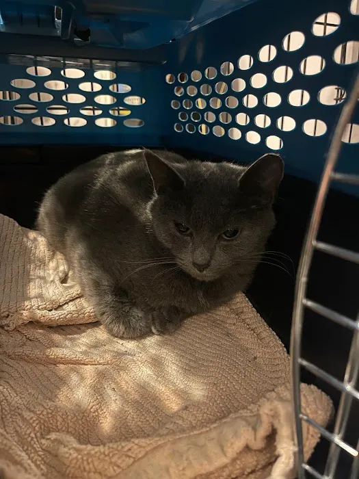 Animal Wellness Hospital of Highlands 6