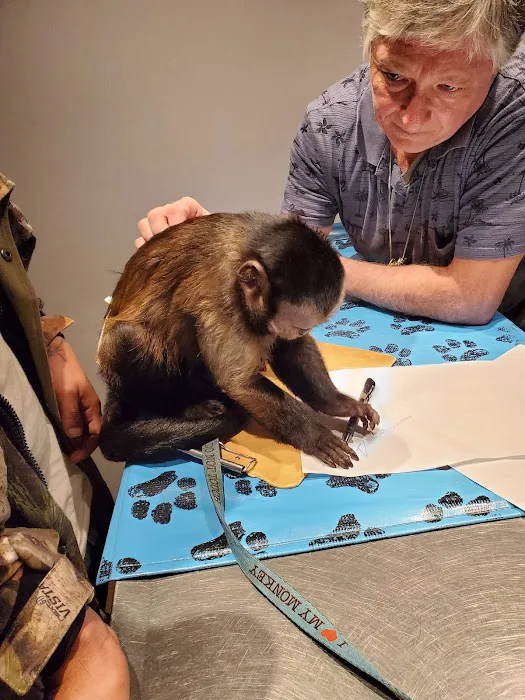 Animal House Veterinary Clinic 10