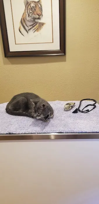 Animal House Veterinary Clinic 7