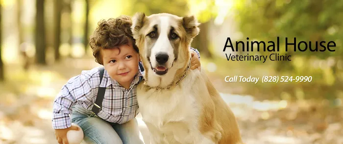 Animal House Veterinary Clinic 9
