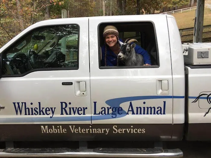 Whiskey River Large Animal Mobile Veterinary Services 5