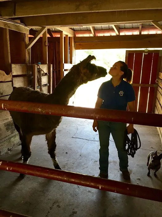 Whiskey River Large Animal Mobile Veterinary Services 7
