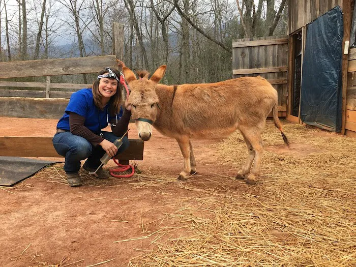 Whiskey River Large Animal Mobile Veterinary Services 4