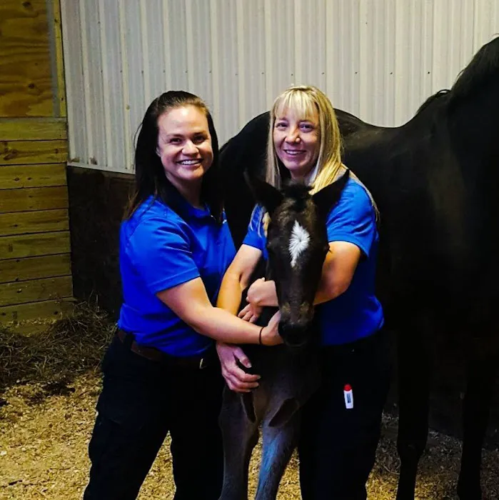 Whiskey River Large Animal Mobile Veterinary Services 6