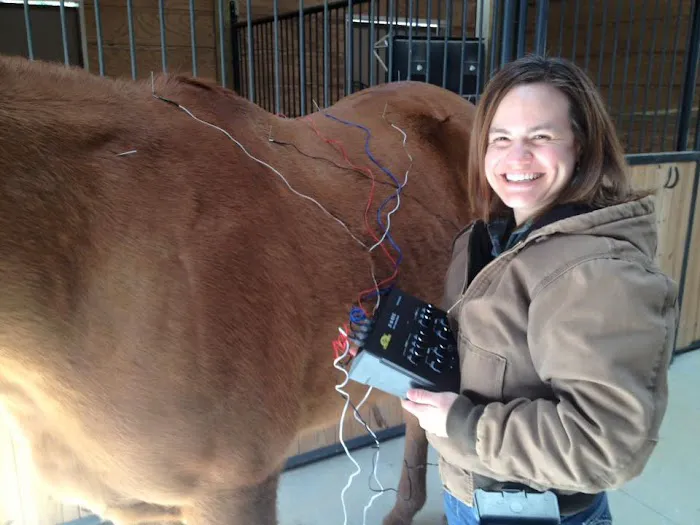 Whiskey River Large Animal Mobile Veterinary Services 10