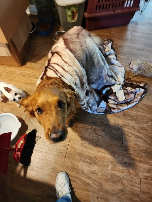 Cherokee Animal Care Clinic 6