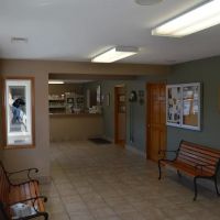Cope Creek Animal Hospital ico