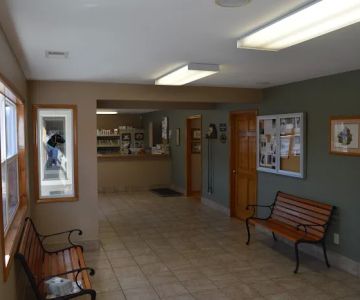 Cope Creek Animal Hospital