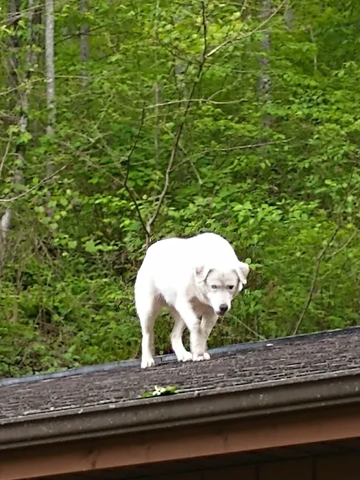 Jackson County Veterinary 6