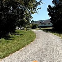 Baum Equine Clinic ico
