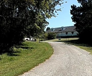 Baum Equine Clinic