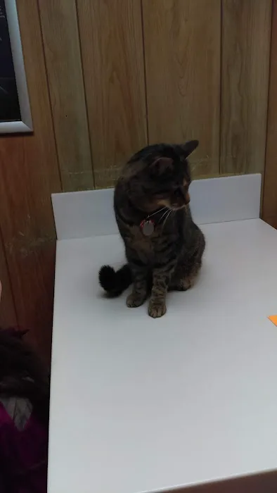 Shelbyville Animal Hospital 12