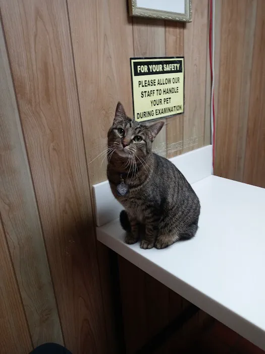 Shelbyville Animal Hospital 12