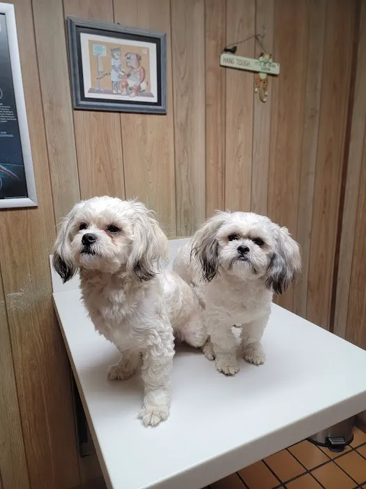 Shelbyville Animal Hospital 12