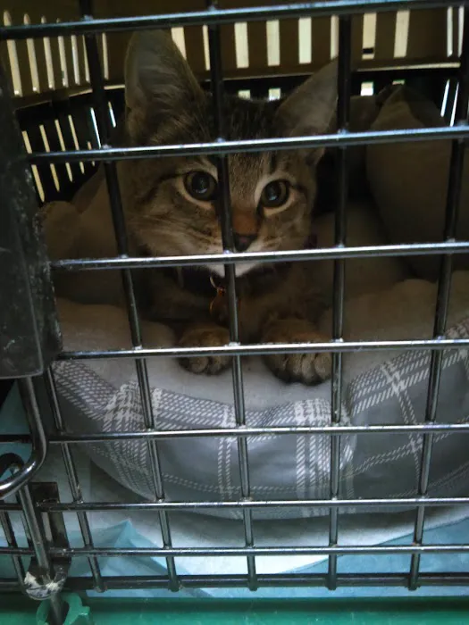 Shelbyville Animal Hospital 12