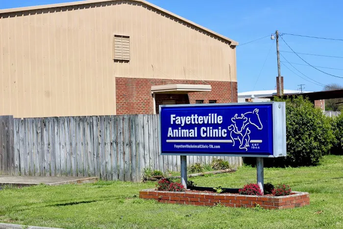 Fayetteville Animal Clinic 8