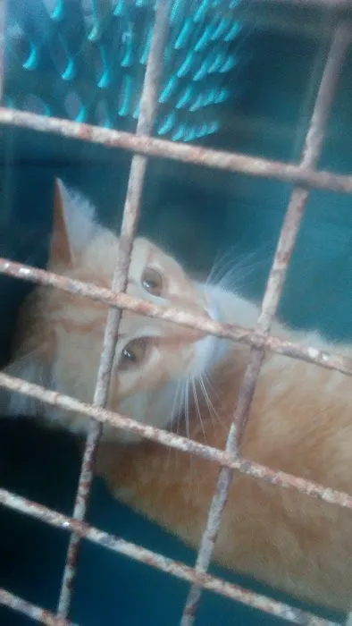 Middle Tennessee Spay & Neuter Clinic 12
