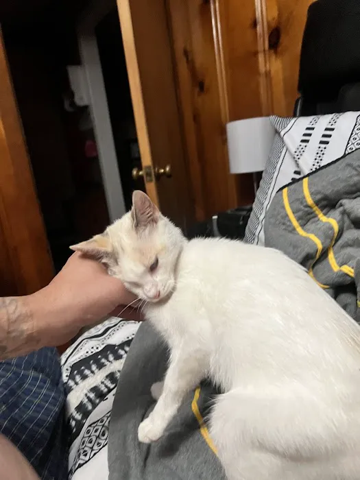 Middle Tennessee Spay & Neuter Clinic 12