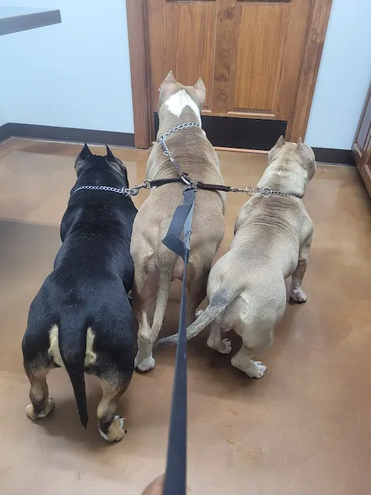 Cascade Veterinary Hospital 12