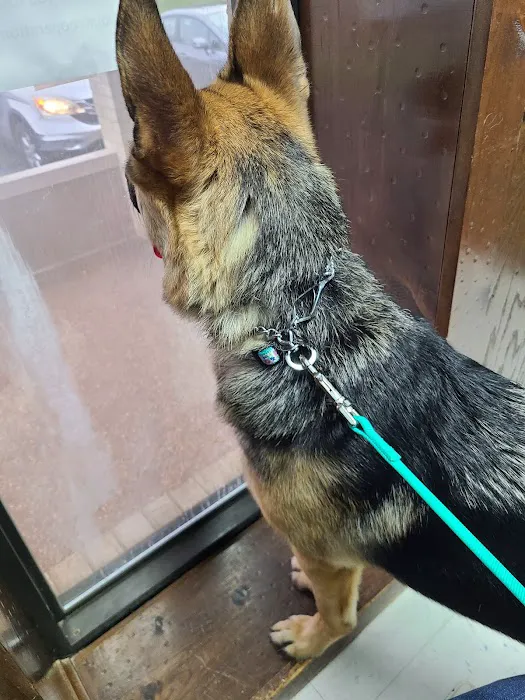 Town & Country Animal Hospital 12