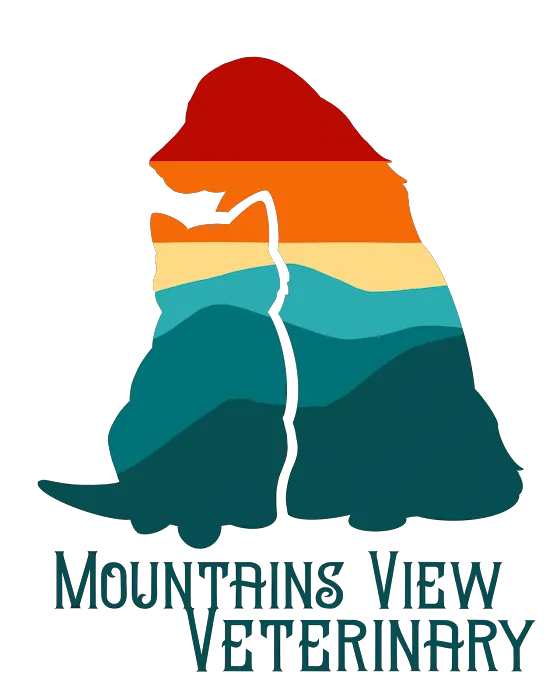 Mountains View Veterinary 4