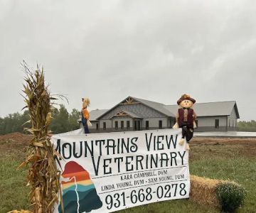 Mountains View Veterinary