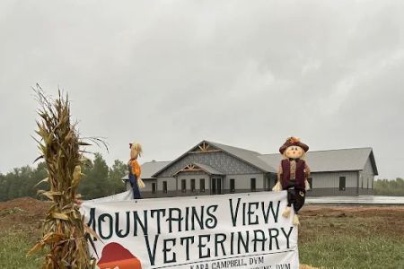 Mountains View Veterinary