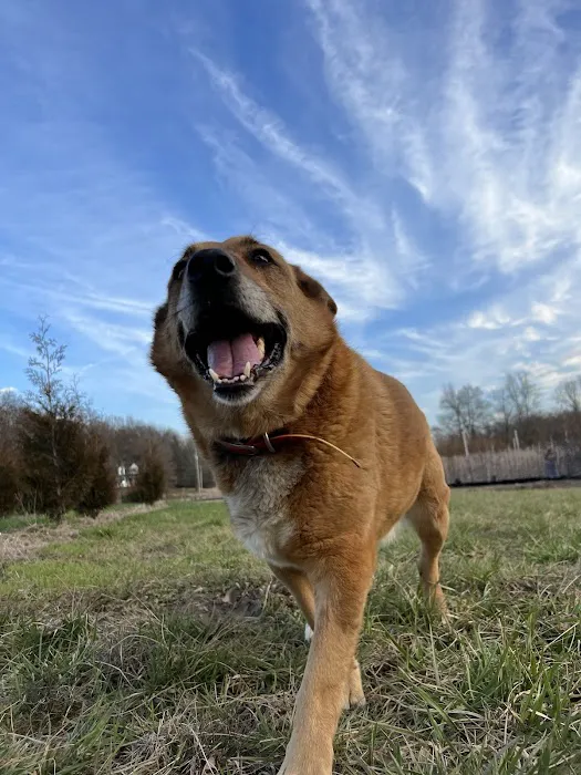 Sparta Road Veterinary Clinic 12