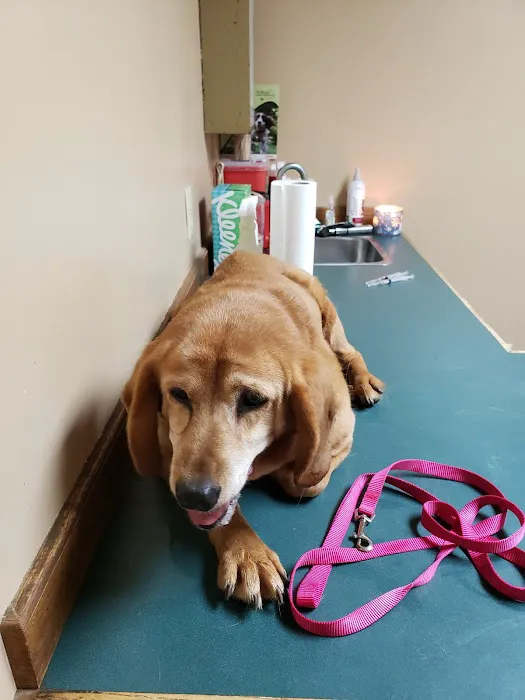 Sparta Road Veterinary Clinic 12