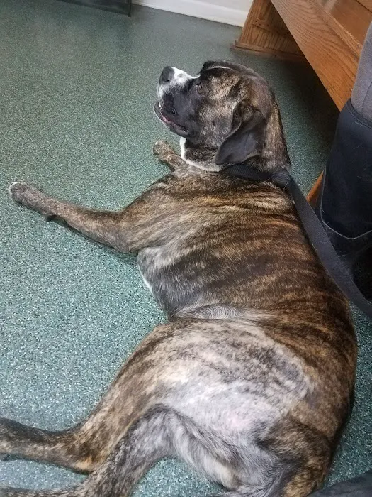 Sparta Road Veterinary Clinic 12