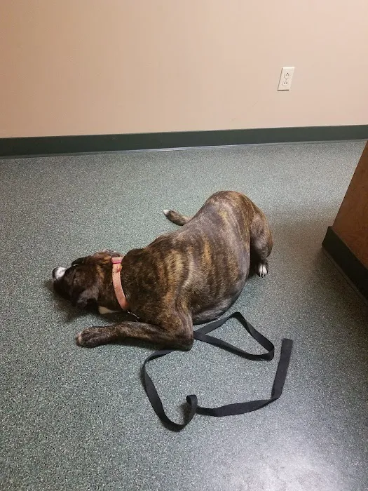 Sparta Road Veterinary Clinic 12