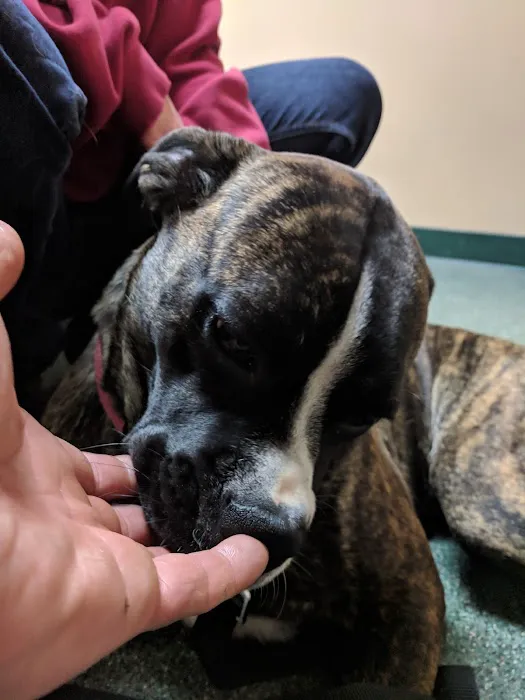 Sparta Road Veterinary Clinic 12