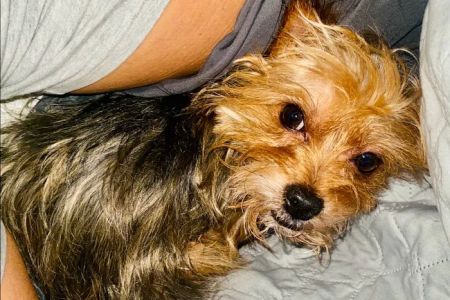 Woodbury Veterinary Hospital