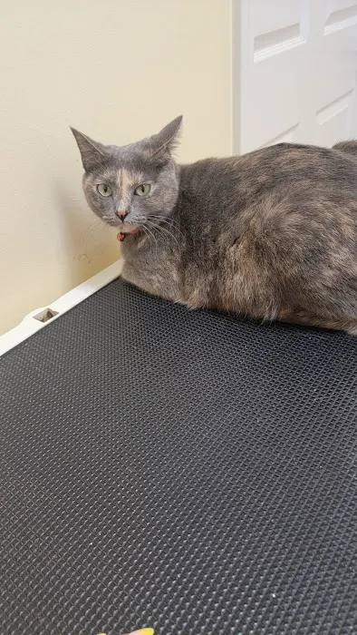 Cannon County Animal Clinic 12