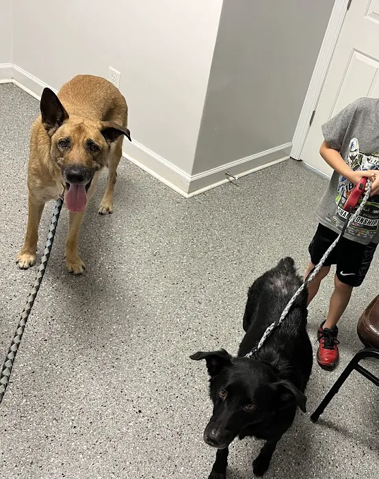 Valley View Veterinary Services 3