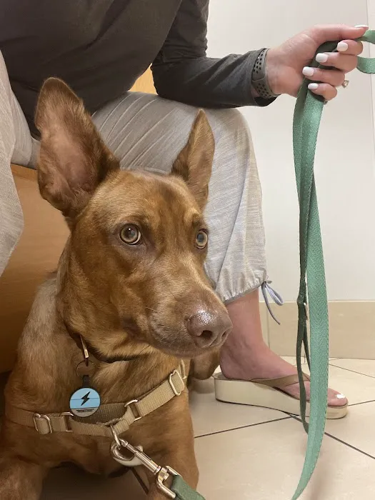 Animal Care Clinic & Hospital 12
