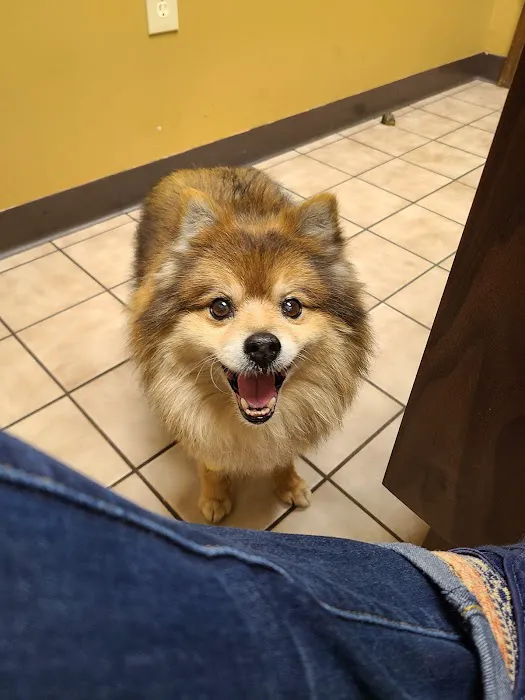 Animal Care Clinic & Hospital 12