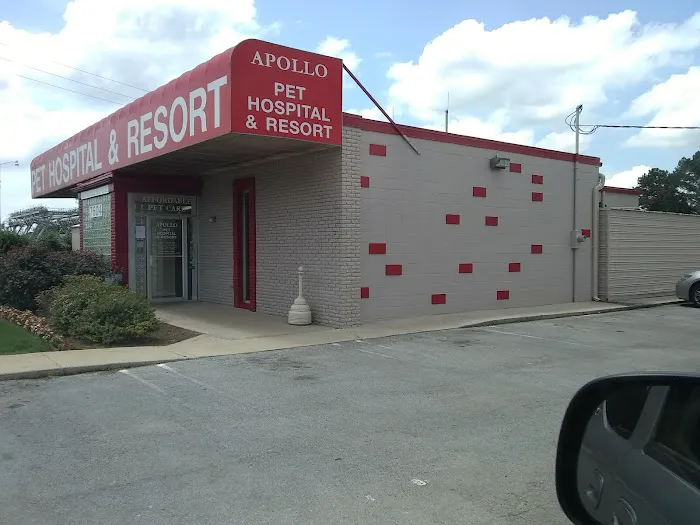 Apollo Animal Hospital PC 12