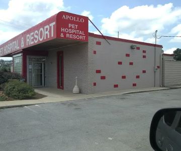 Apollo Animal Hospital PC