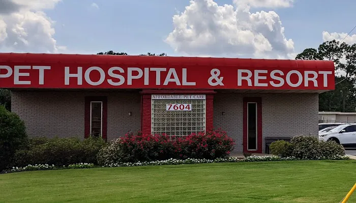 Apollo Animal Hospital PC 12