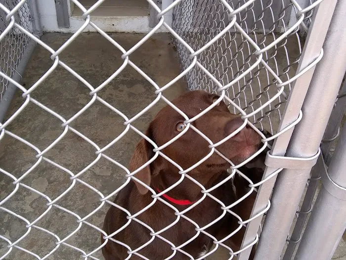 Apollo Animal Hospital PC 12