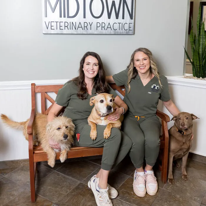Midtown Veterinary Practice 12