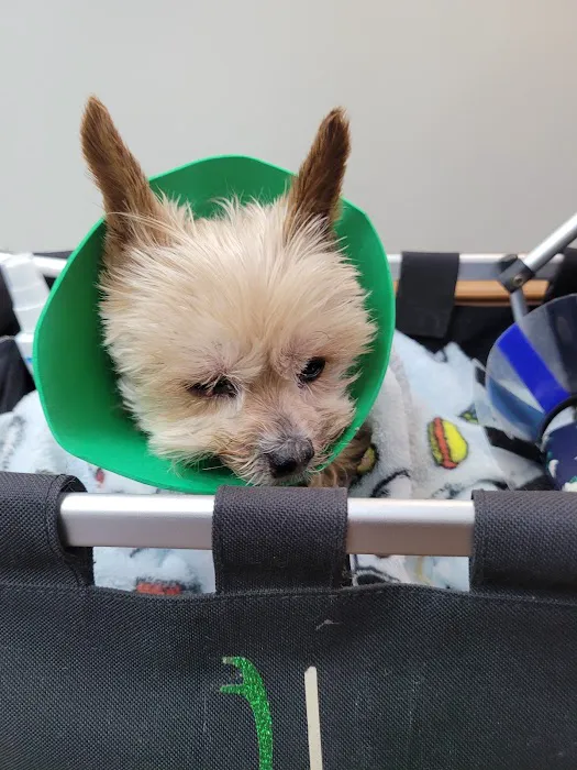 Midtown Veterinary Practice 12