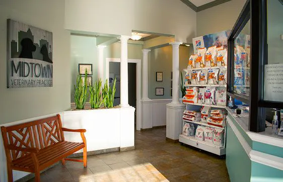 Midtown Veterinary Practice 12