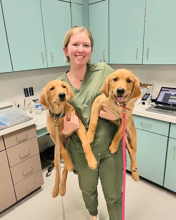 Midtown Veterinary Practice 12