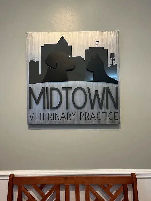 Midtown Veterinary Practice 12