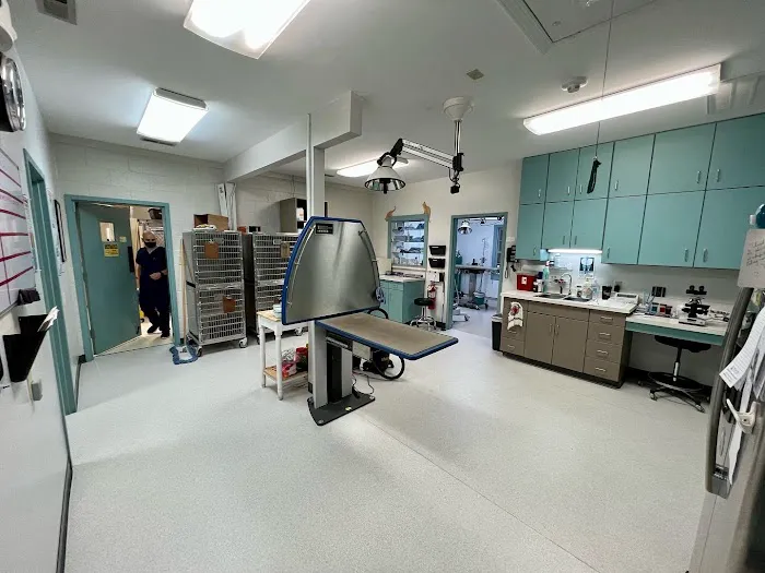 Midtown Veterinary Practice 12