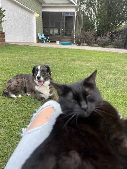 Bentley Animal Hospital 12