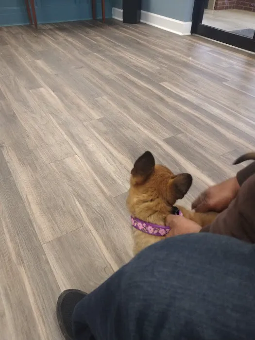 Bentley Animal Hospital 12